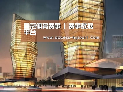 案例展示三