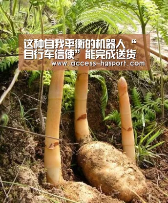 皇冠体育下载